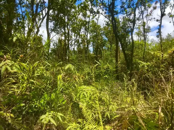 Volcano, HI 96785,OHIALANI RD