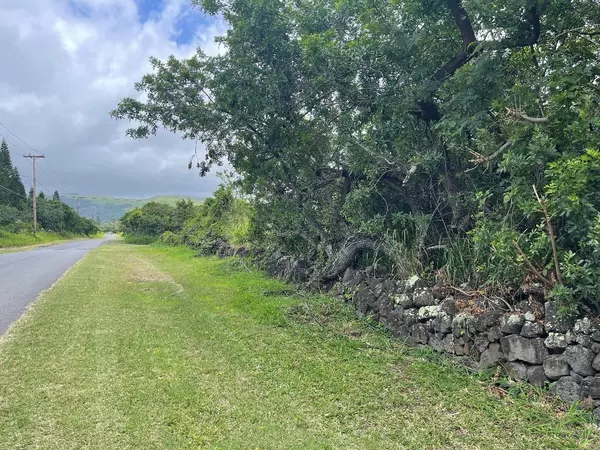 94-1438 KAALUALU RD, Naalehu, HI 96772