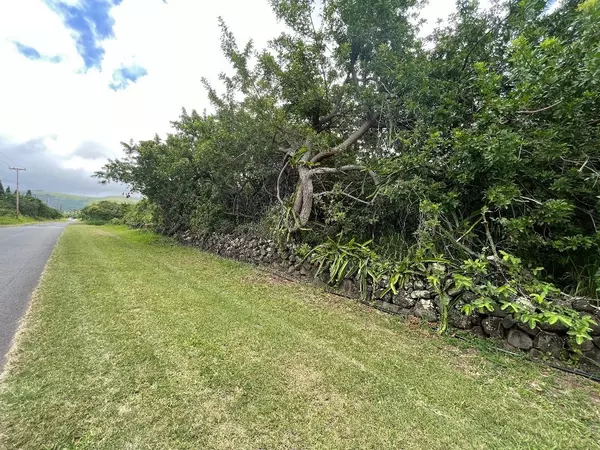 Naalehu, HI 96772,94-1434 KAALUALU RD