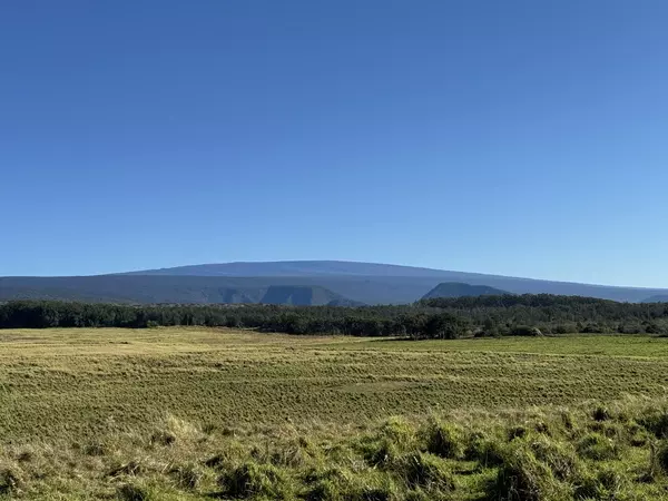 KAALUALU RD, Naalehu, HI 96772