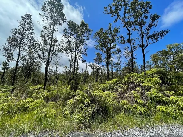 Volcano, HI 96785,11-2017 KOKOKAHI RD