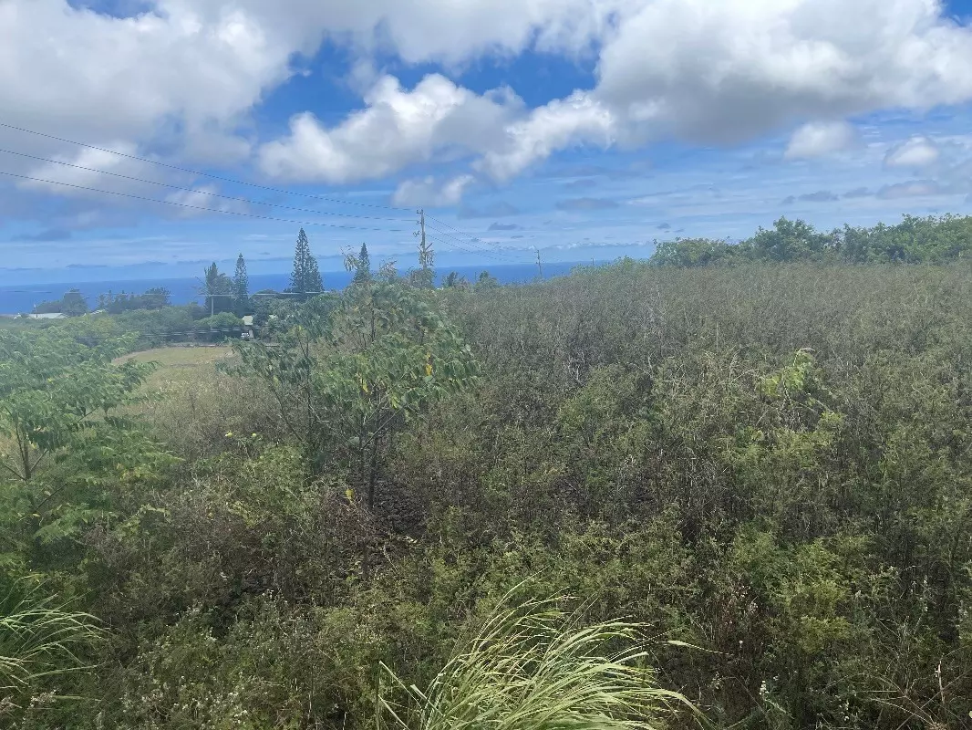 Naalehu, HI 96772,94-1637 KAULUA ST