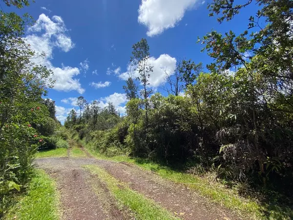 ROAD 6 (OOAA), Mountain View, HI 96760