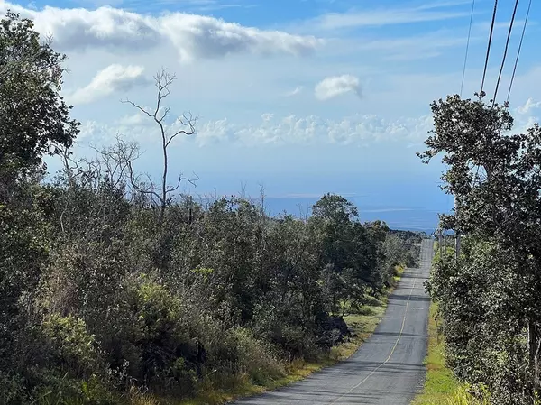 Ocean View, HI 96737,TIKI LN