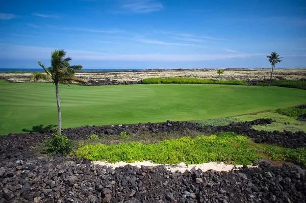 Kailua Kona, HI 96740,73-4642 PUHILI LOOP