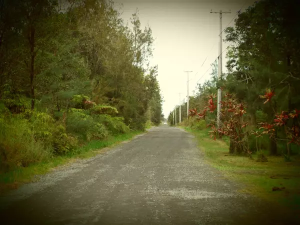 Volcano, HI 96785,OHIALANI RD