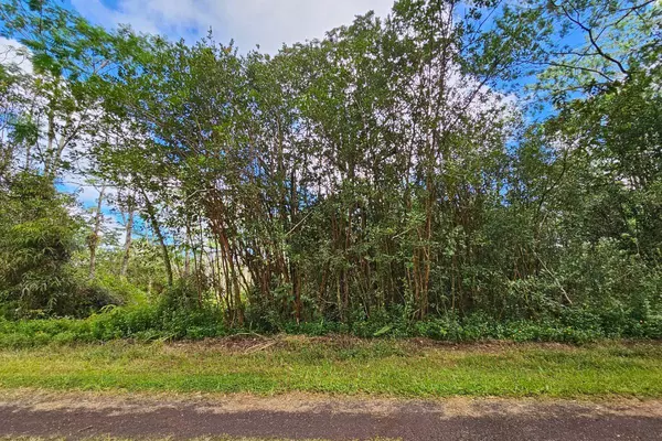 Pahoa, HI 96778,SEADRIFT RD