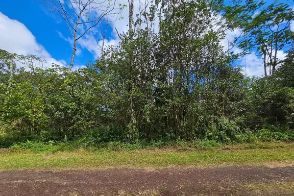 Pahoa, HI 96778,SEADRIFT RD