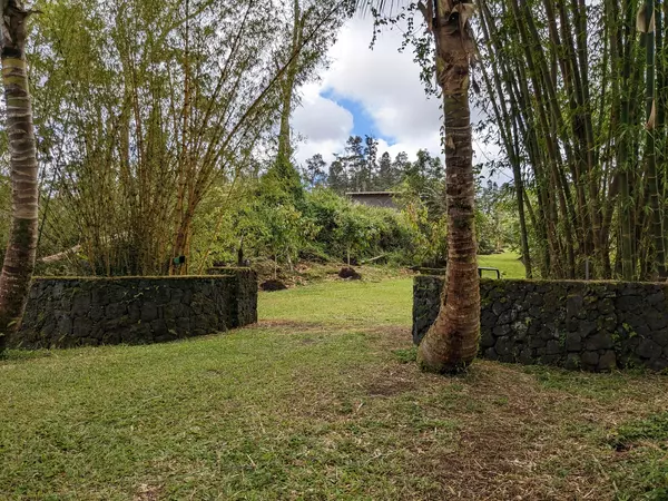 Pahoa, HI 96778,14-630 ROAD A