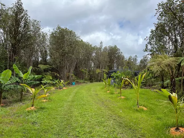 Volcano, HI 96785,11-3172 ALA NAUALANI