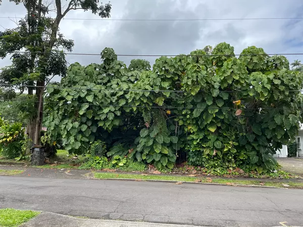 Hilo, HI 96720,314 LEHUA ST