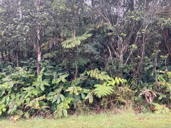 NAHELENANI ST, Volcano, HI 96785