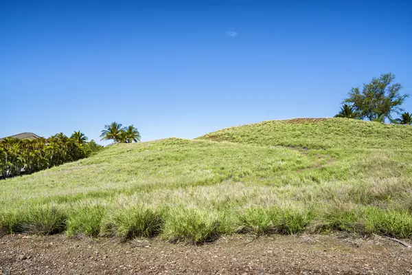 Kamuela, HI 96743,59-181 HOKULELE DR