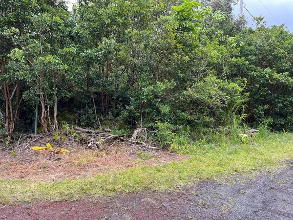 Pahoa, HI 96778,ALOHA RD