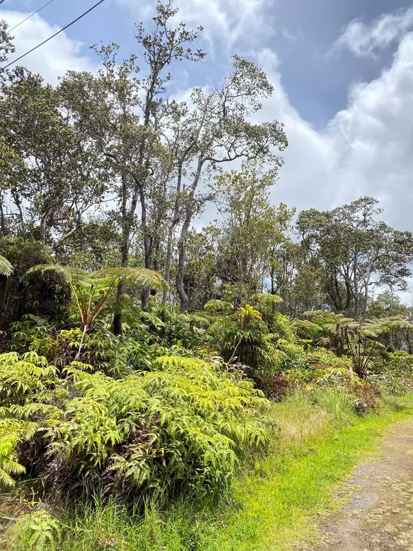 ALA OHIA ST, Volcano, HI 96785