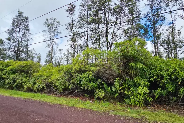 Pahoa, HI 96778,16-2073 KUHIO DR