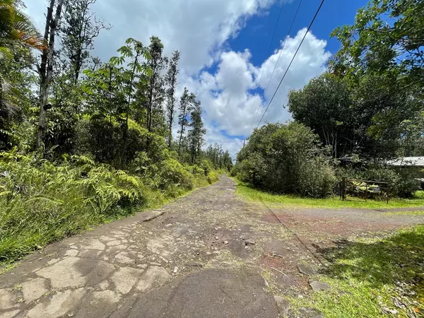 Mountain View, HI 96760,ROAD 7 (OPEAPEA)