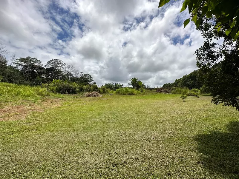 29-2147 KAIWIKI HOMESTEAD RD, Hakalau, HI 96710