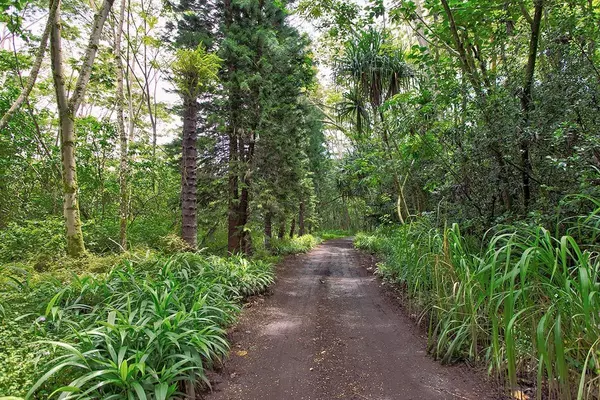 Pahoa, HI 96778,NONI FARM RD