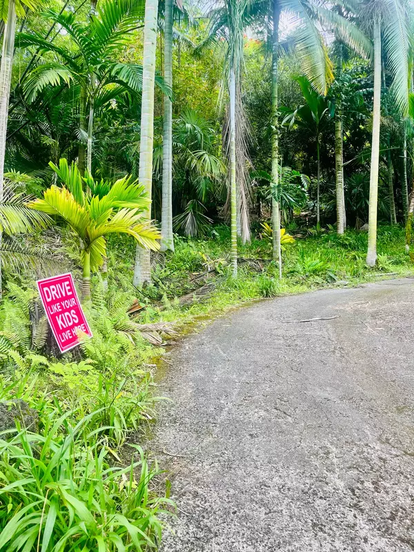 Kailua-Kona, HI 96740,OLD MAMALAHOA HIGHWAY