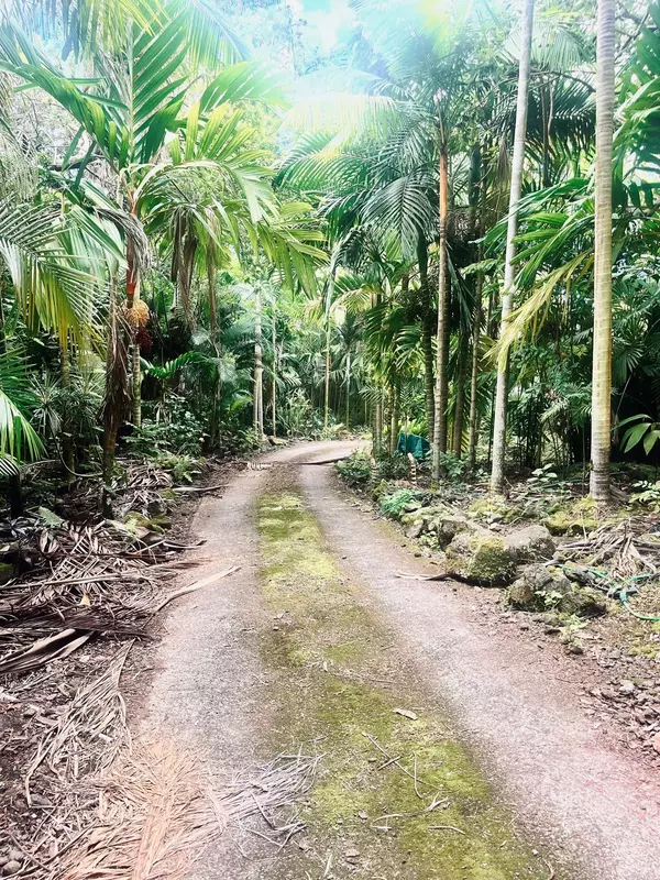 Kailua-Kona, HI 96740,73-4685 OLD MAMALAHOA HIGHWAY