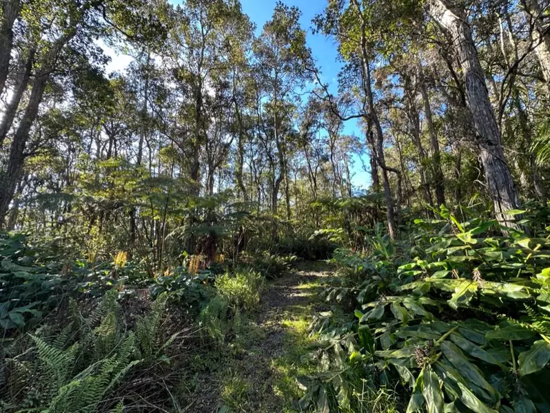 KALOKO DR, Kailua-Kona, HI 96740