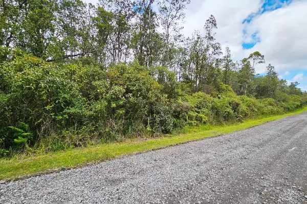 Volcano, HI 96785,OHIALANI RD