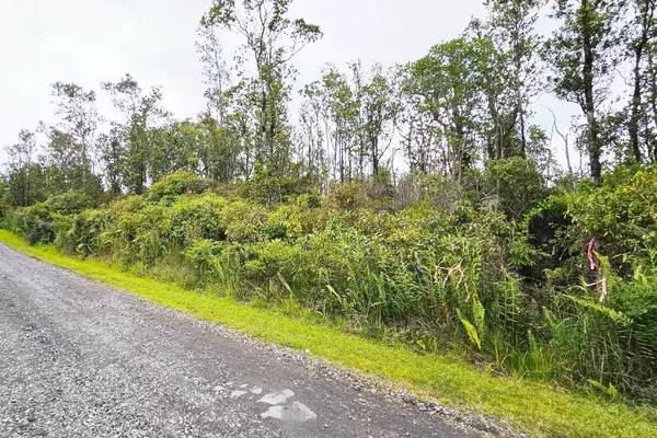 Volcano, HI 96785,OHIALANI RD