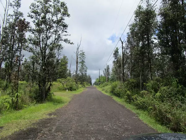 Kurtistown, HI 96760,ROAD 9 (KOLOA MAOLI)