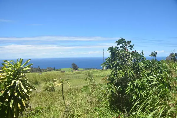 KALOPA RD, Honokaa, HI 96727