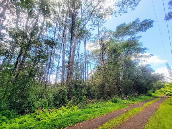 Pahoa, HI 96778,KAUAI RD