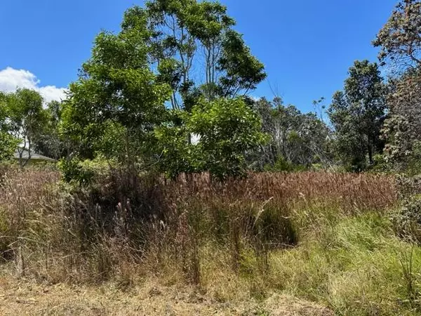 Hawaiian Natl Park, HI 96718,PUKEAWE CIR