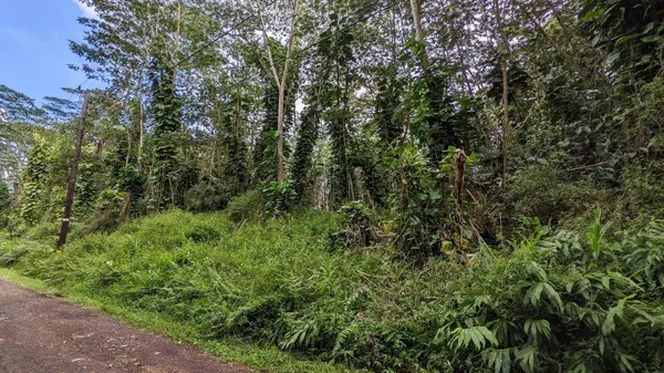 Pahoa, HI 96778,PAKALANA RD #Lot 431