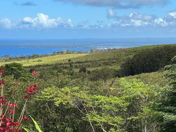 Pepeekeo, HI 96783,28-900 KAUPAKUEA HOMESTEAD RD