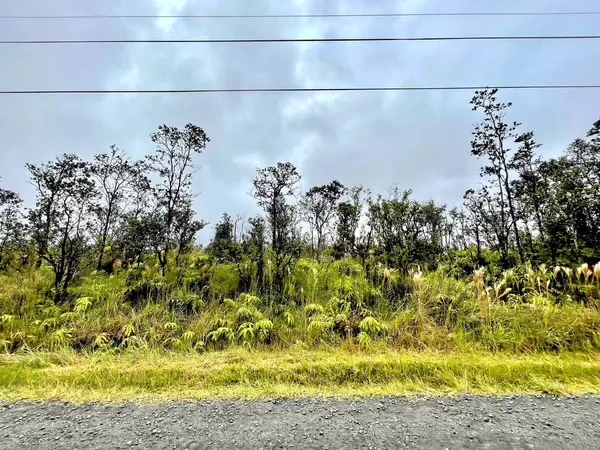 Volcano, HI 96785,OMEKA RD