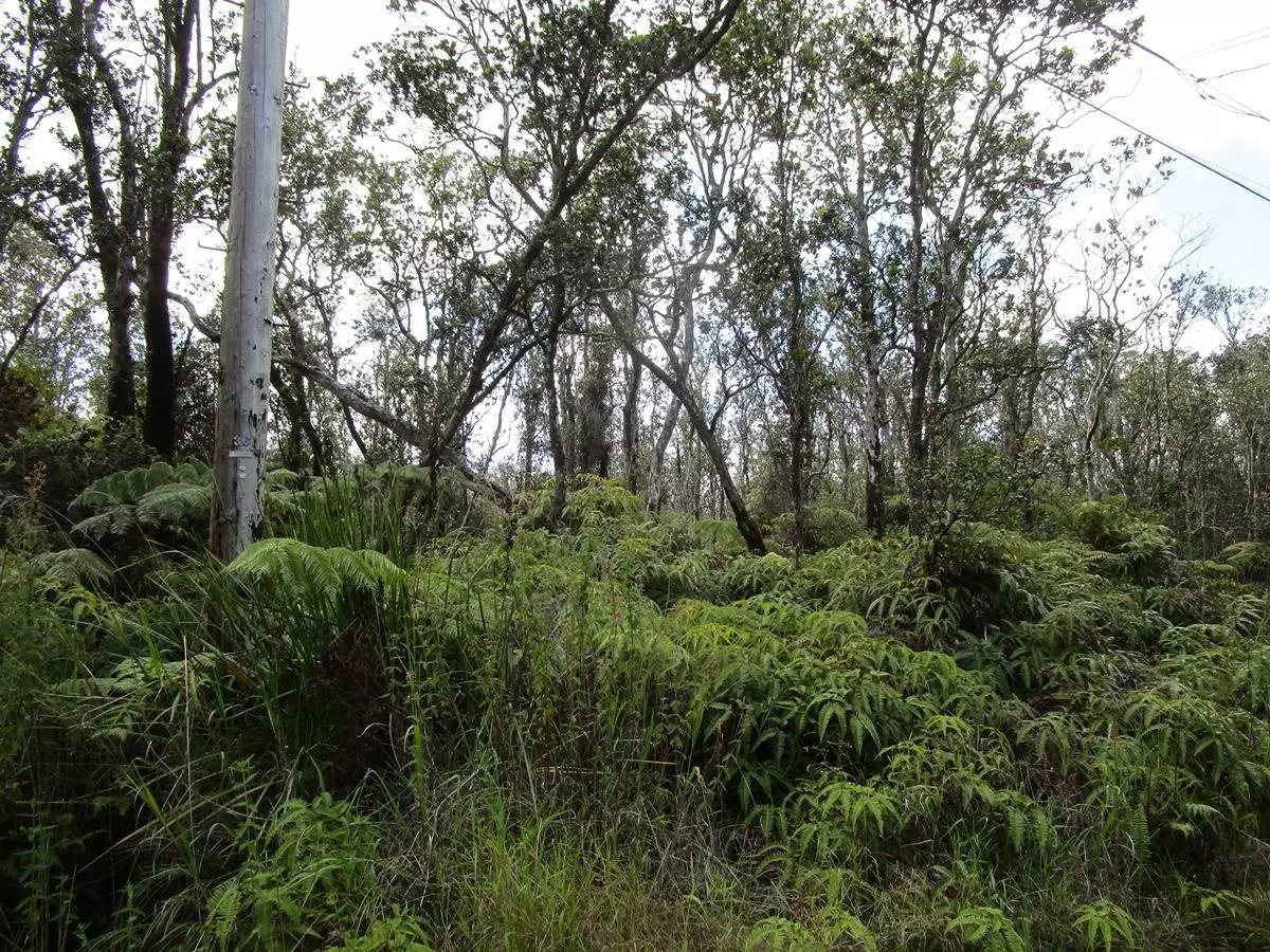 Volcano, HI 96785,KAHAUALEA RD