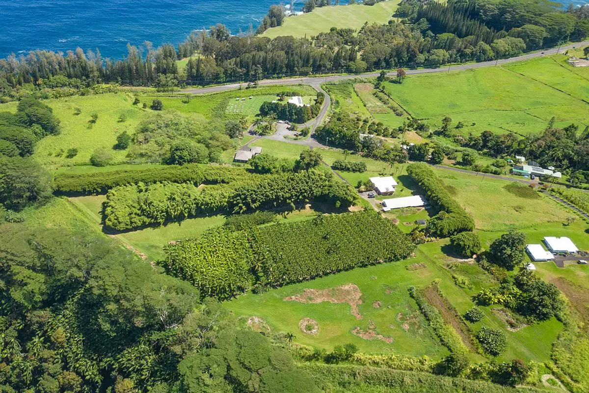 Honomu, HI 96728,28-1829 OLD MAMALAHOA HWY