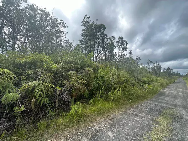 Volcano, HI 96785,11-3233 ALA NAUALANI