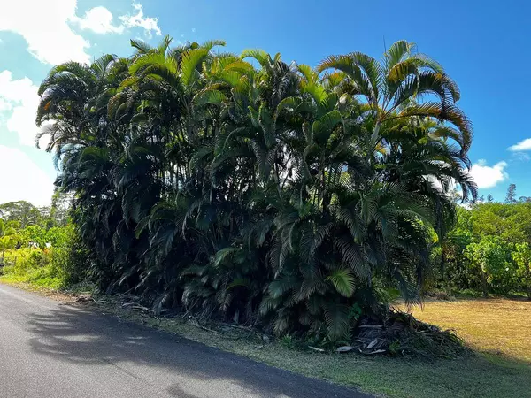 Pahoa, HI 96778,PUNI MAKAI LOOP