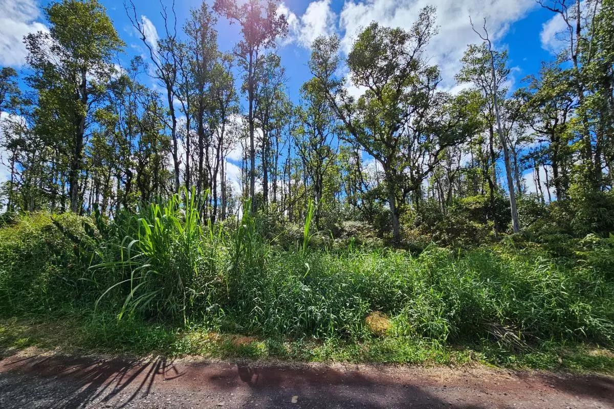 Pahoa, HI 96778,PUKALANI DR