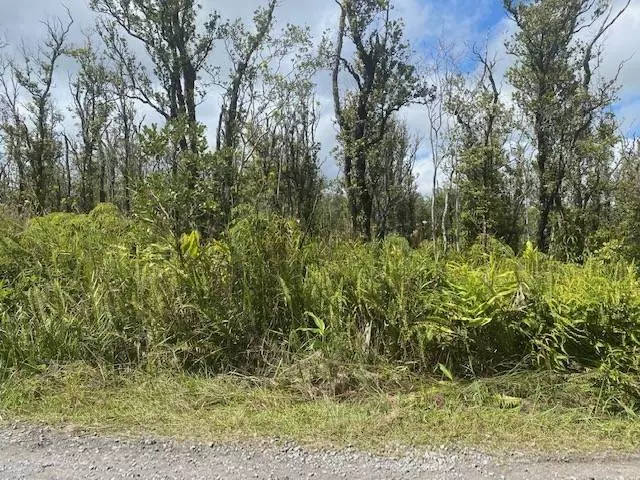 Volcano, HI 96785,OMEKA RD