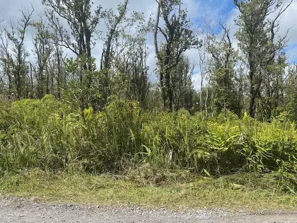 OMEKA RD, Volcano, HI 96785