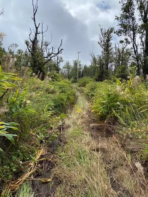 Volcano, HI 96785,OMEKA RD