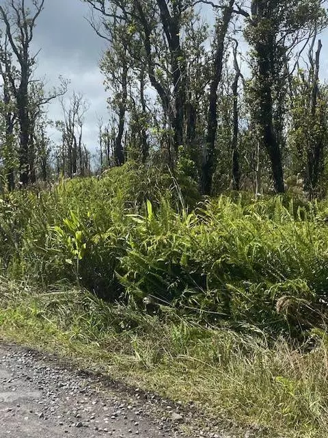 Volcano, HI 96785,OMEKA RD