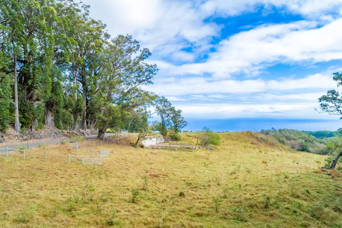 Paauilo, HI 96776,43-1935 POHAKEA MAUKA RD