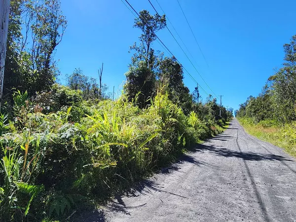 LEILA RD,  Volcano,  HI 96785