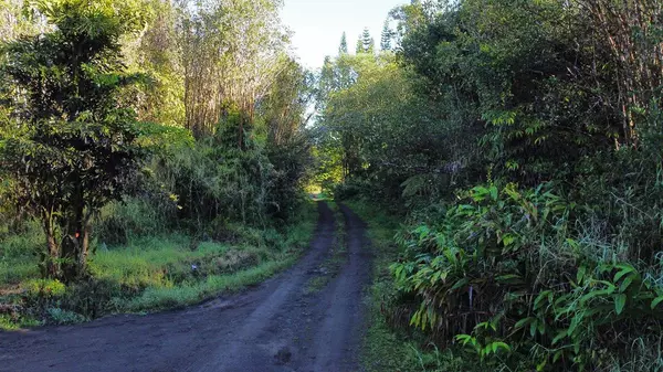 Volcano, HI 96785,15TH RD #Lot 932