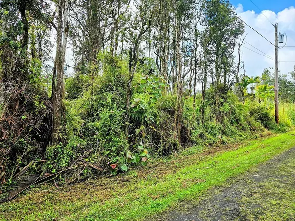 Pahoa, HI 96778,KAILUA RD