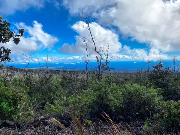 ISLAND BLVD, Ocean View, HI 96737