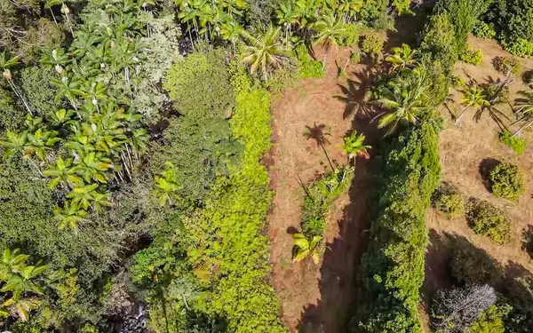 Hakalau, HI 96710,KAIWIKI HOMESTEAD RD